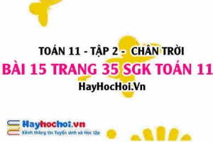 Bài 15 trang 35 Toán 11 tập 2 Chân trời sáng tạo